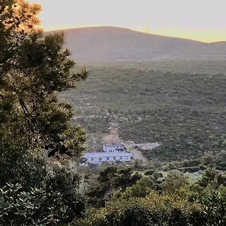 Millionswood 3* Çeşme